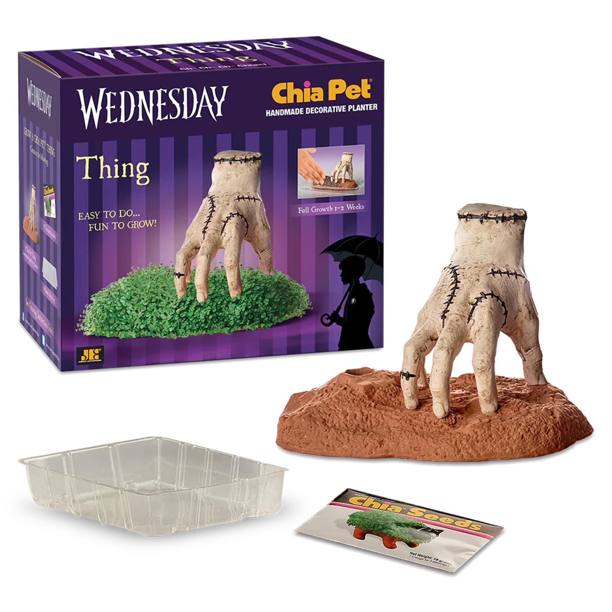 Addams Family - Thing Chia Pet - Image 3