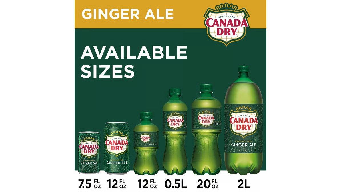 Canada Dry Ginger Ale (20 oz) - Image 3