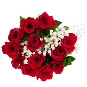 Premium Red Rose Flower Bouquet (12 ct)