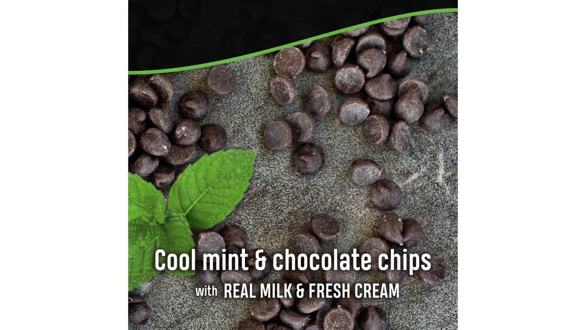 Breyers Ice Cream Mint Chocolate Chip (1.5 qt) - Image 3
