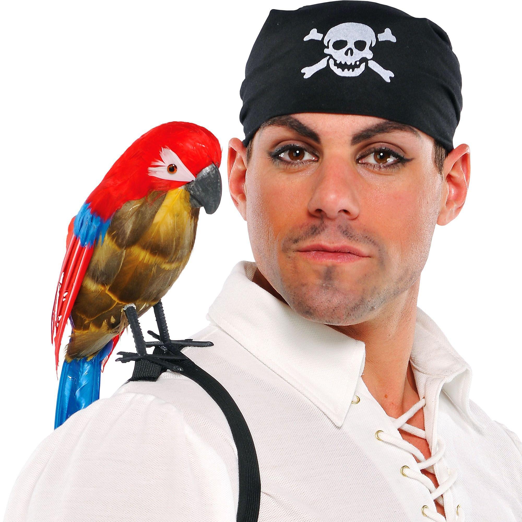 Pirate Parrot - Image 2