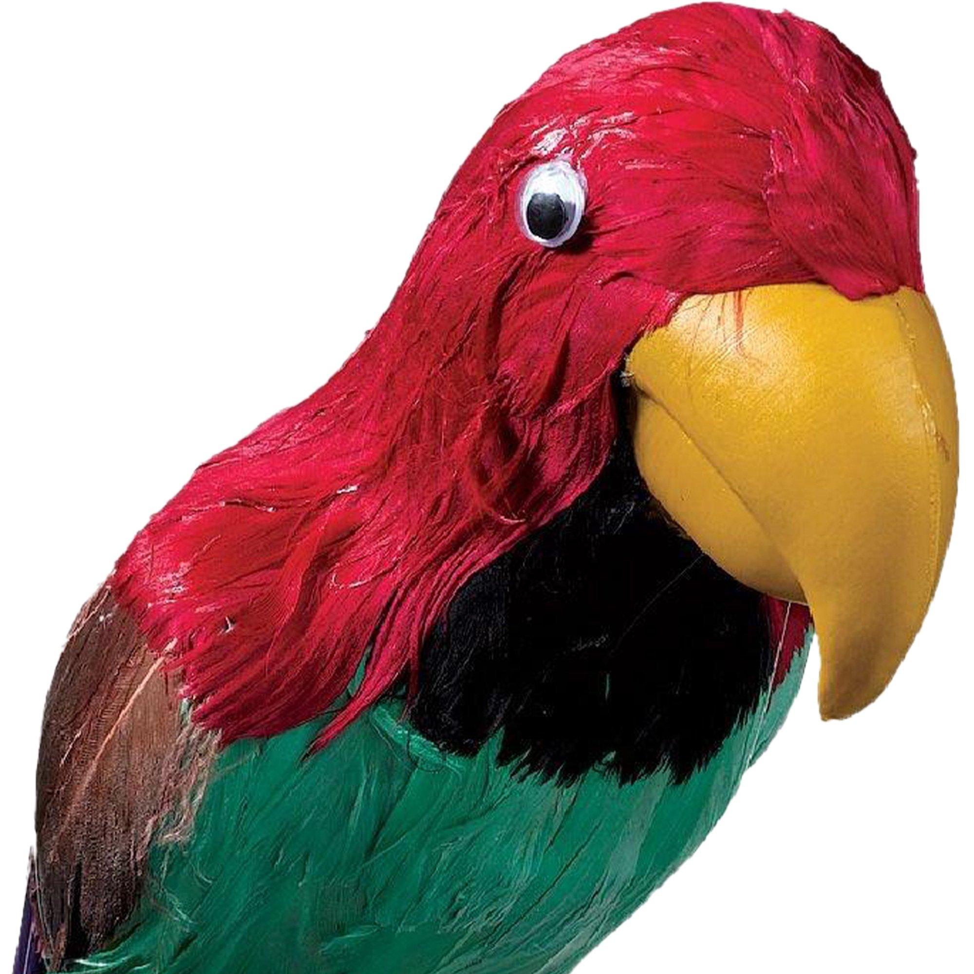 Pirate Parrot - Image 3