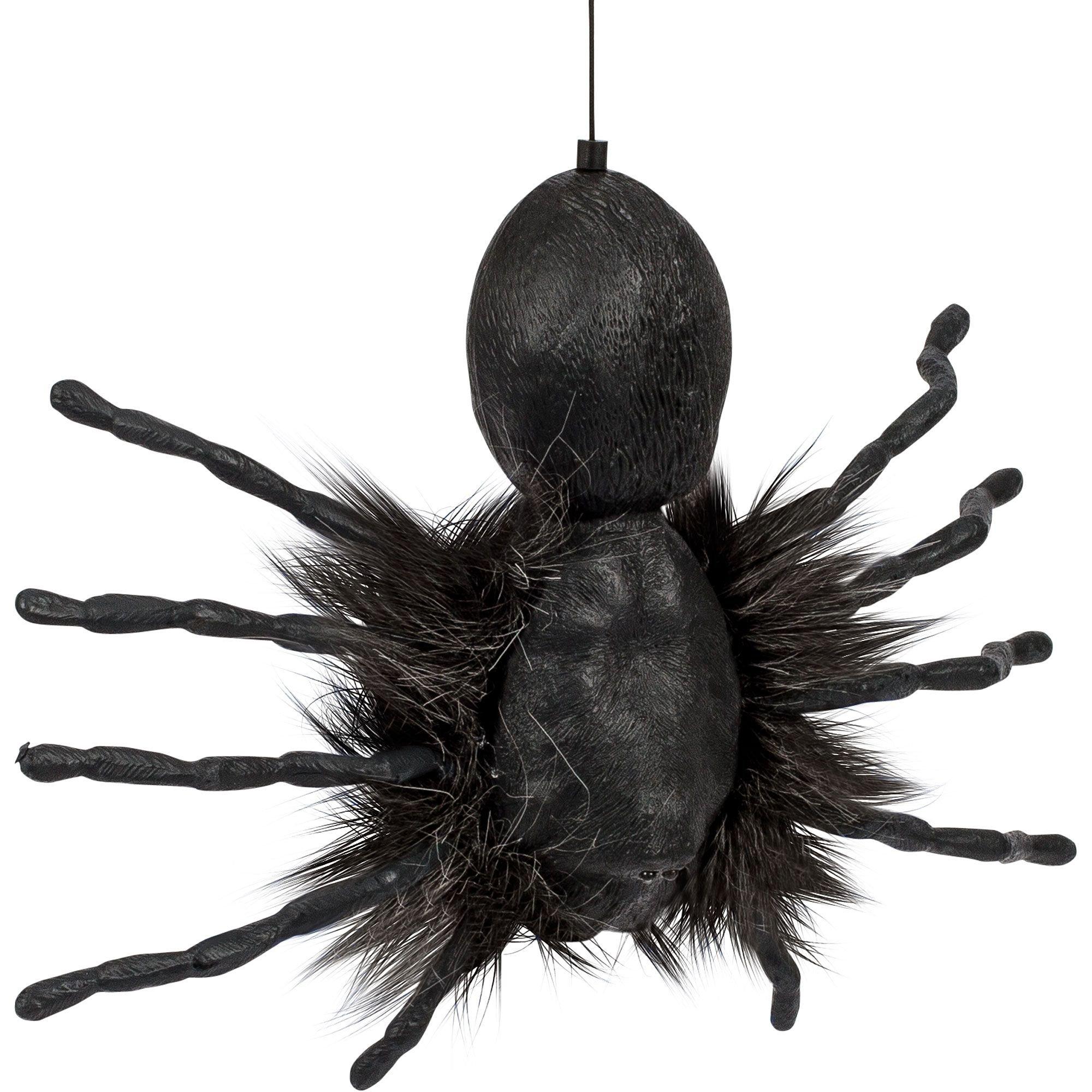 Creepy Dropping Spider - Image 2