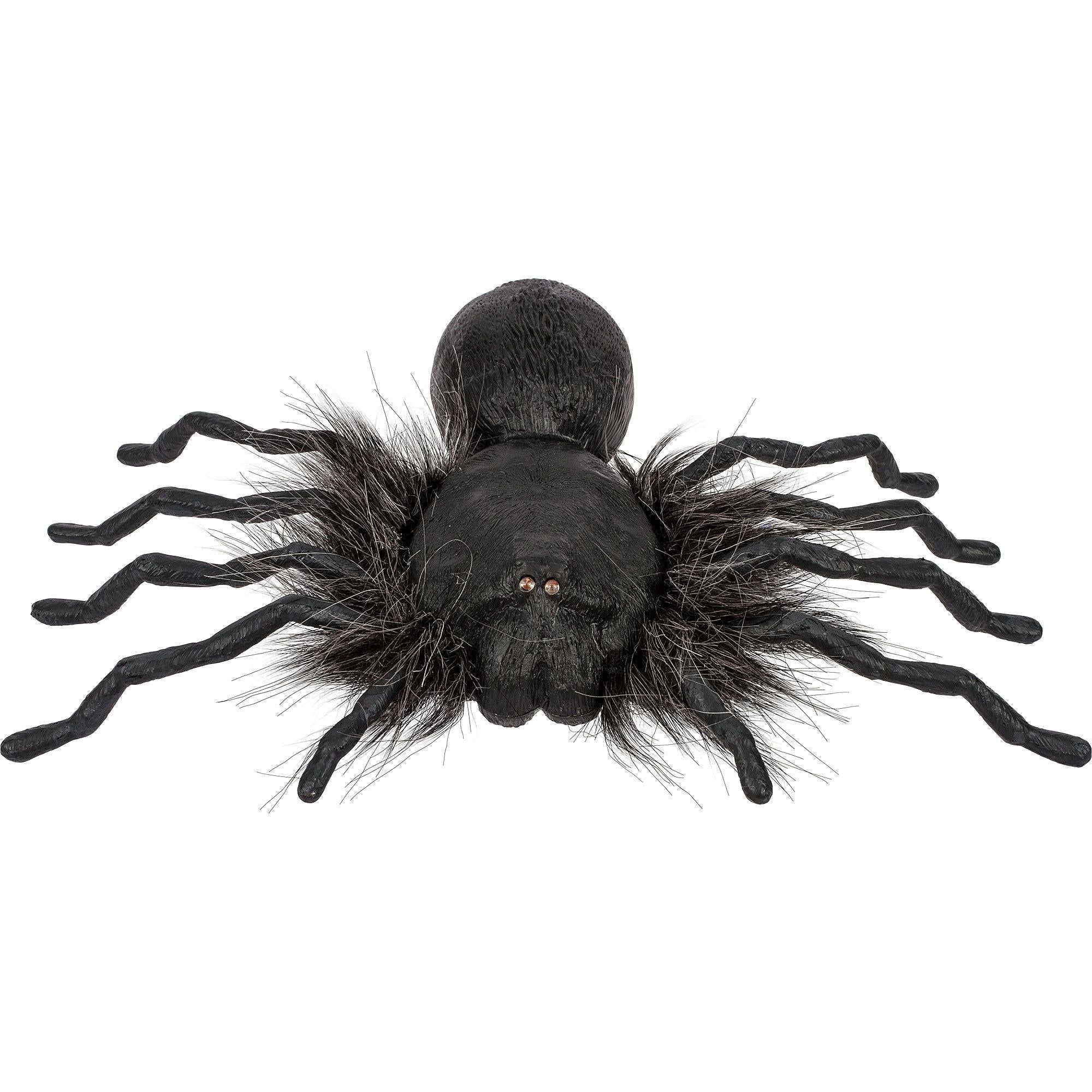 Creepy Dropping Spider - Image 3