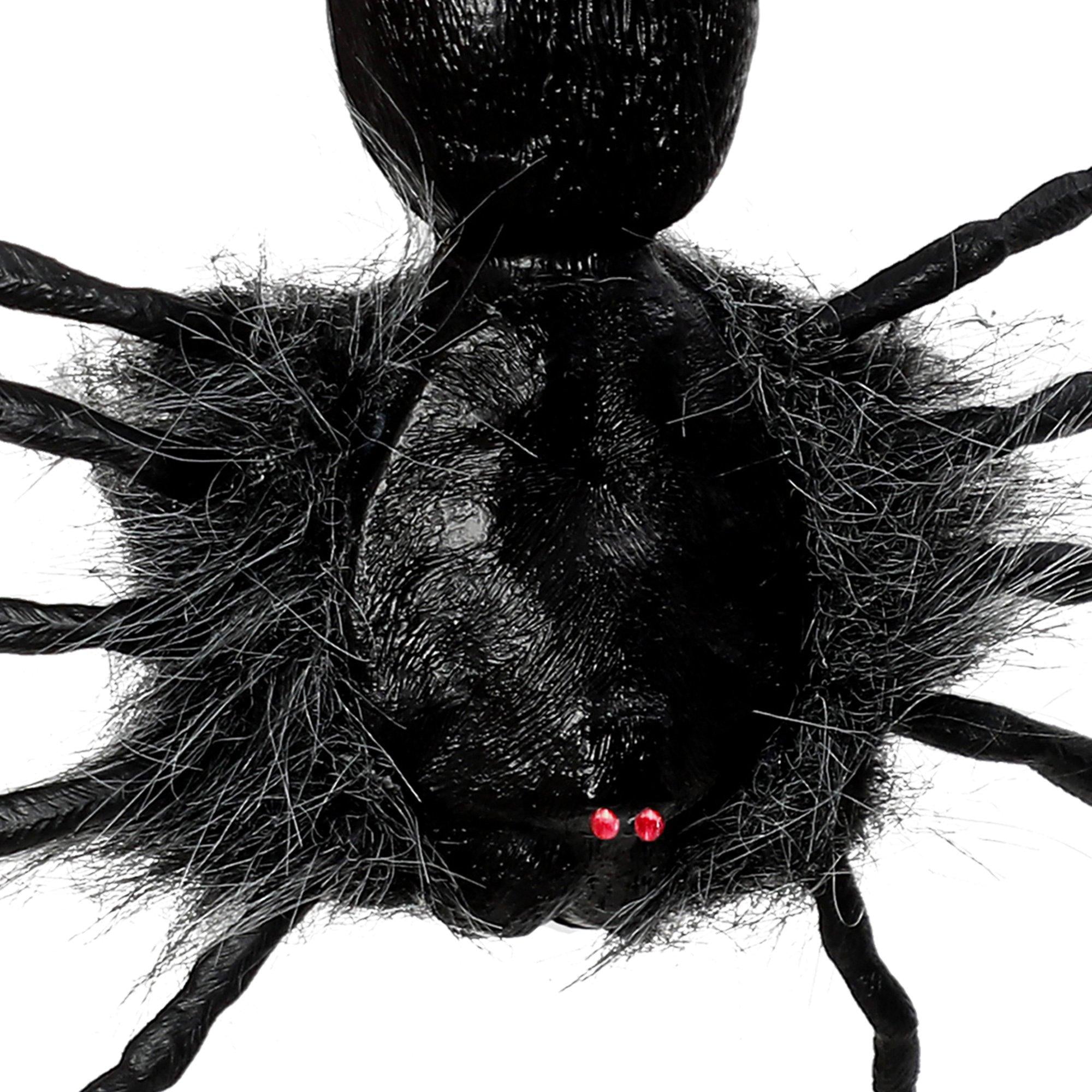 Creepy Dropping Spider - Image 4