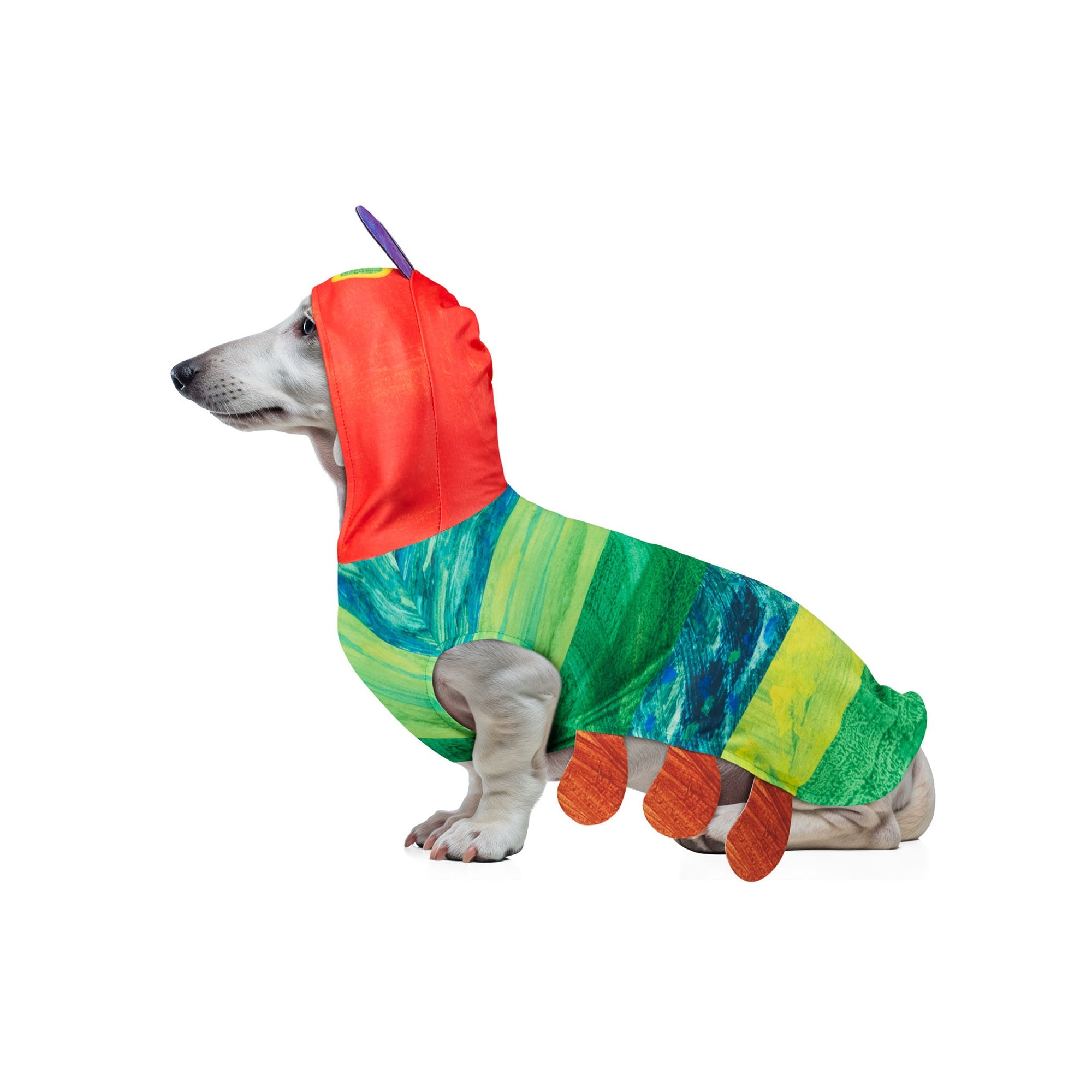 Very Hungry Caterpillar Pet Costume - Image 3