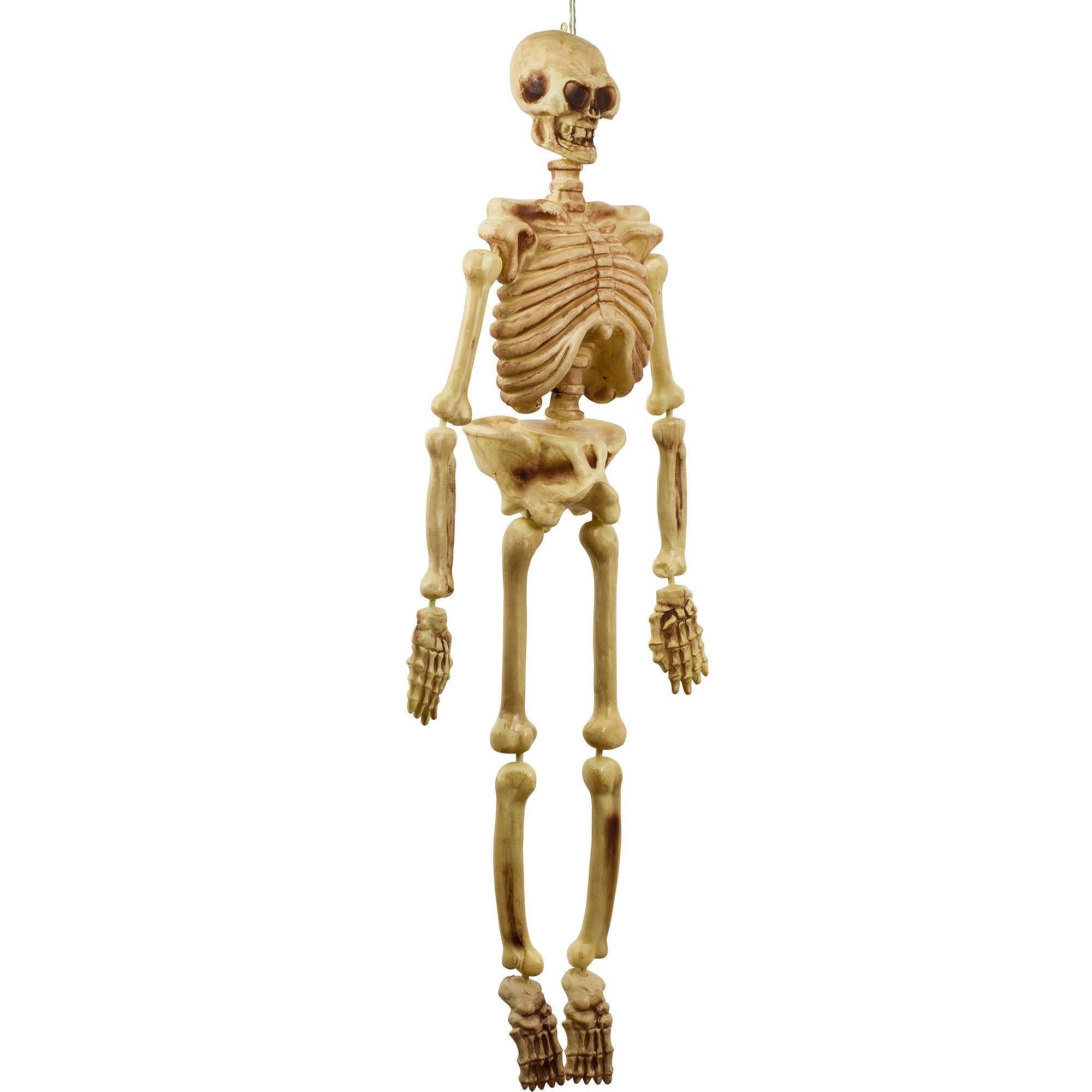 Hanging Plastic Skeleton. 5ft - Image 2