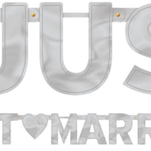 Silver Just Married Letter Banner