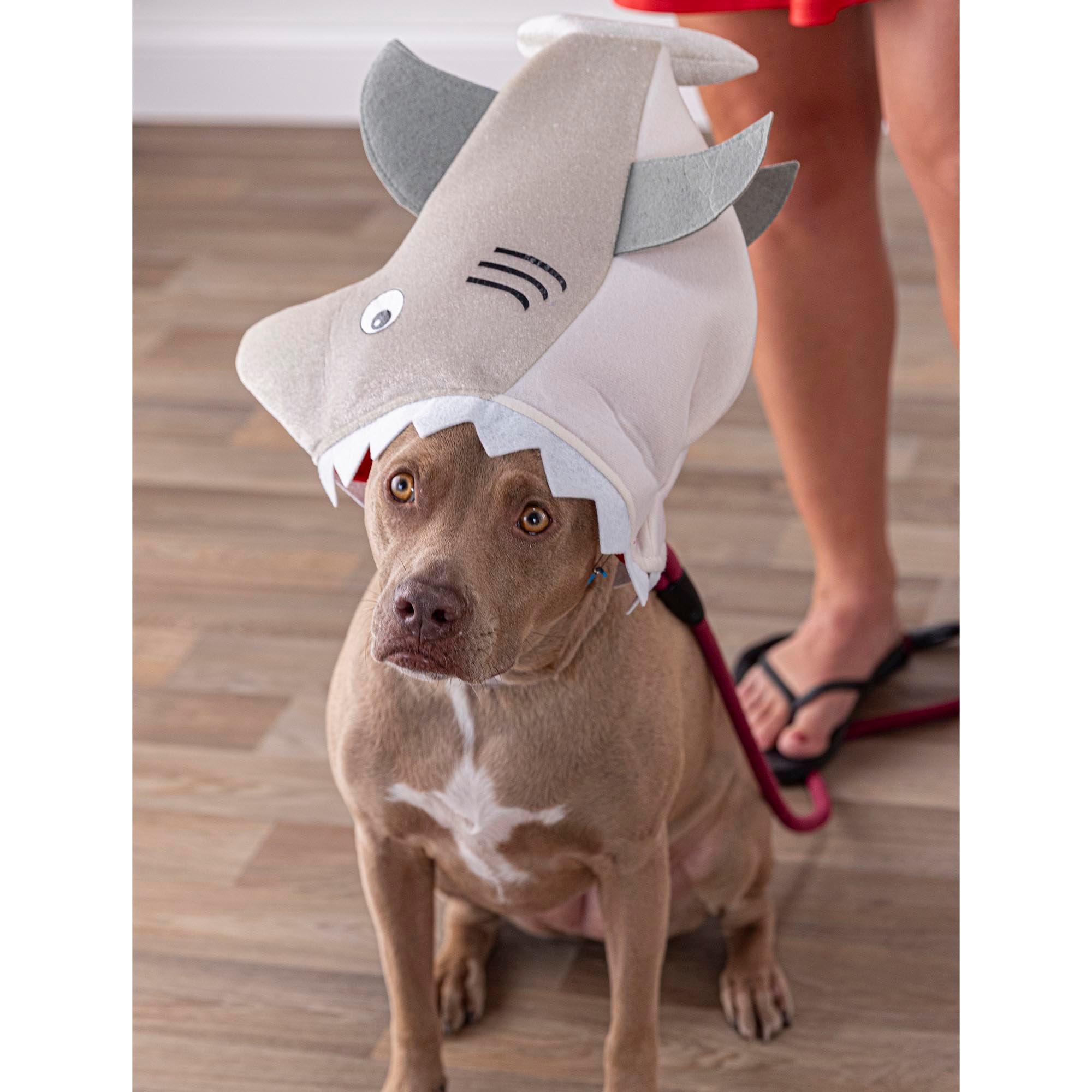 Biting Shark Hat - Image 6