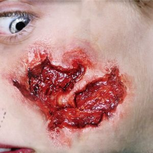 Small Gouge Wound Prosthetic- Tinsley Transfers