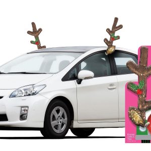 Sequin Rudolph Reindeer Car Decorating Kit 3pc