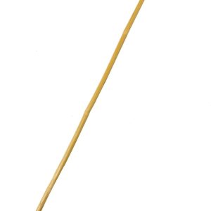 Bamboo Cane 37in