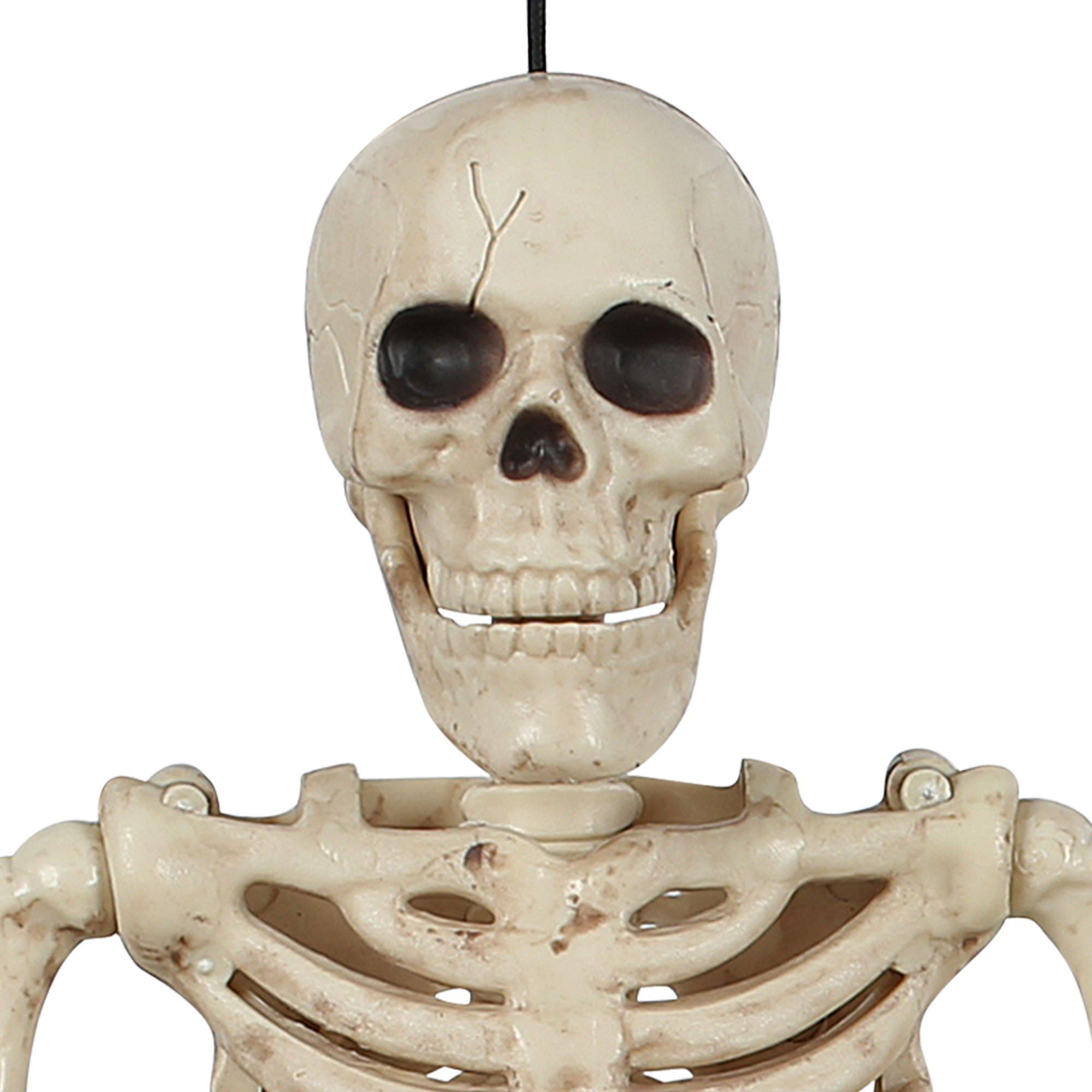 Miniature Realistic Hanging Skeleton. 16in - Image 3