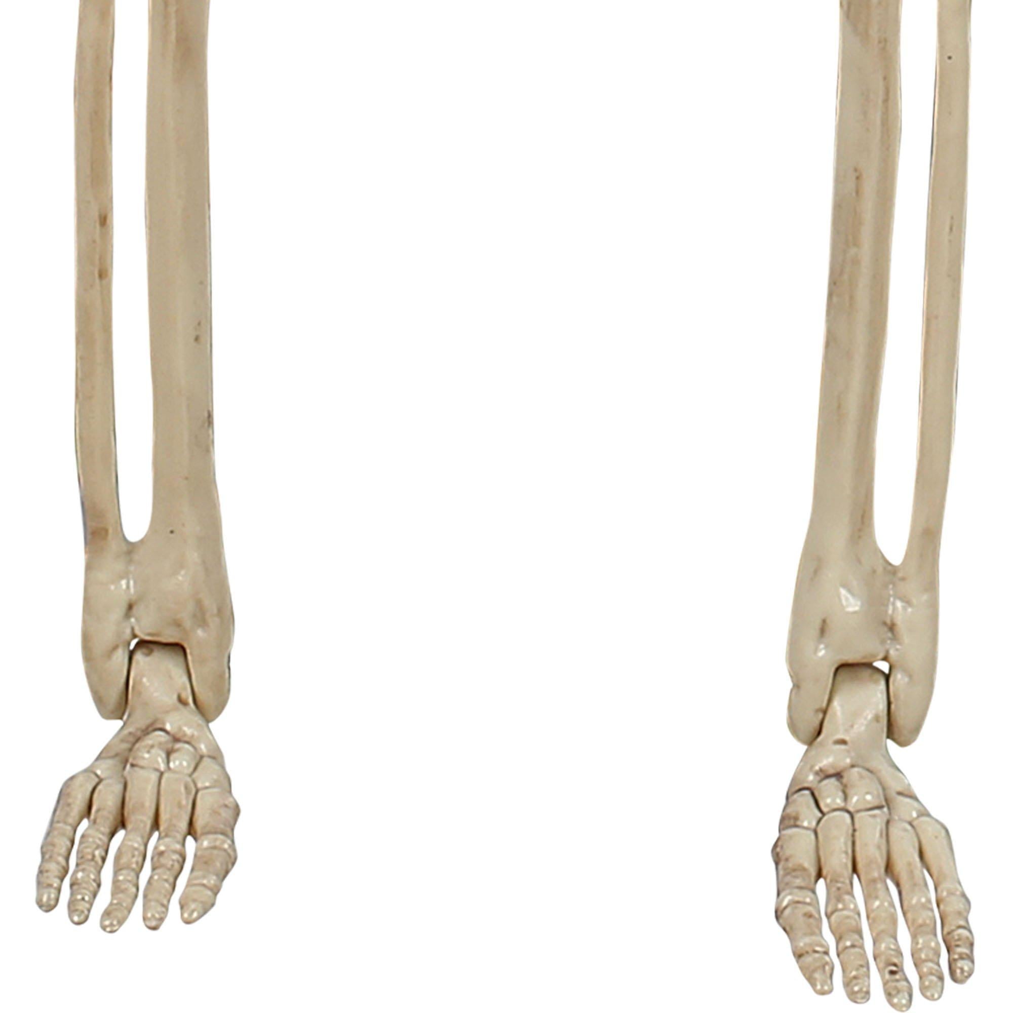 Miniature Realistic Hanging Skeleton. 16in - Image 6