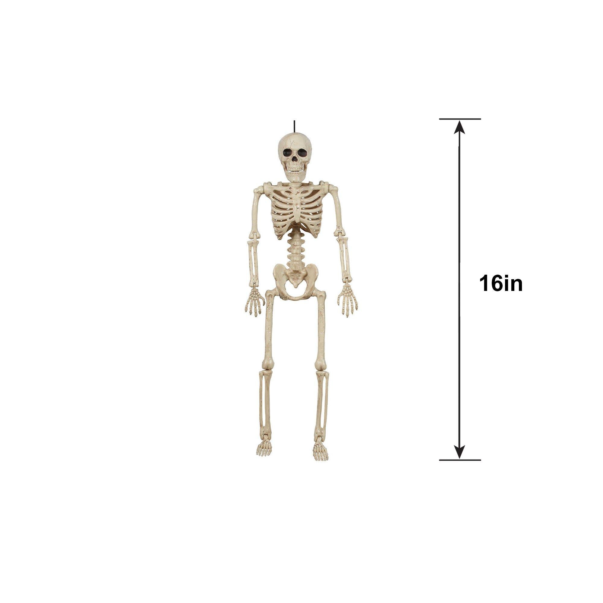 Miniature Realistic Hanging Skeleton. 16in - Image 7