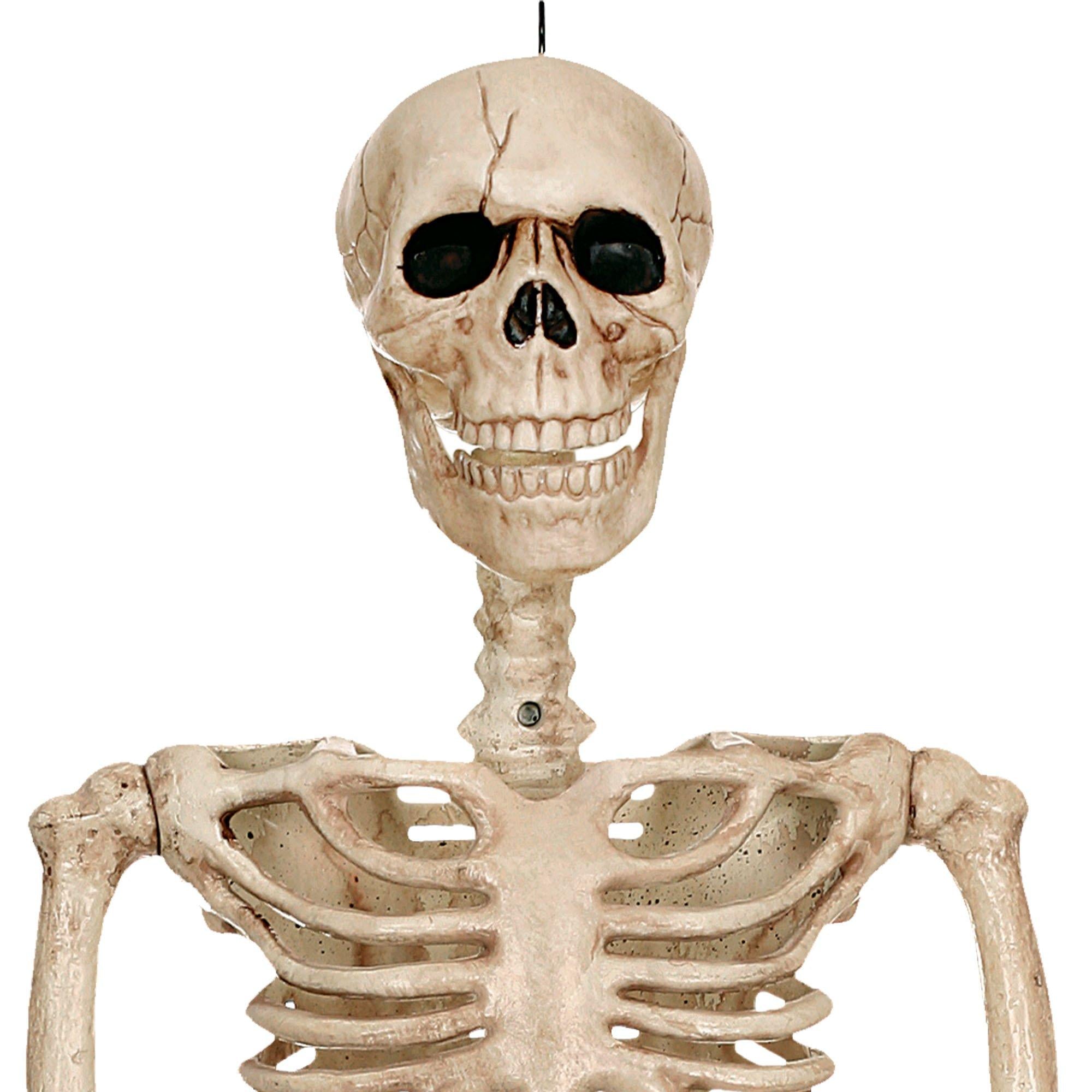 Realistic Hanging Skeleton. 3ft - Halloween Decoration - Image 2
