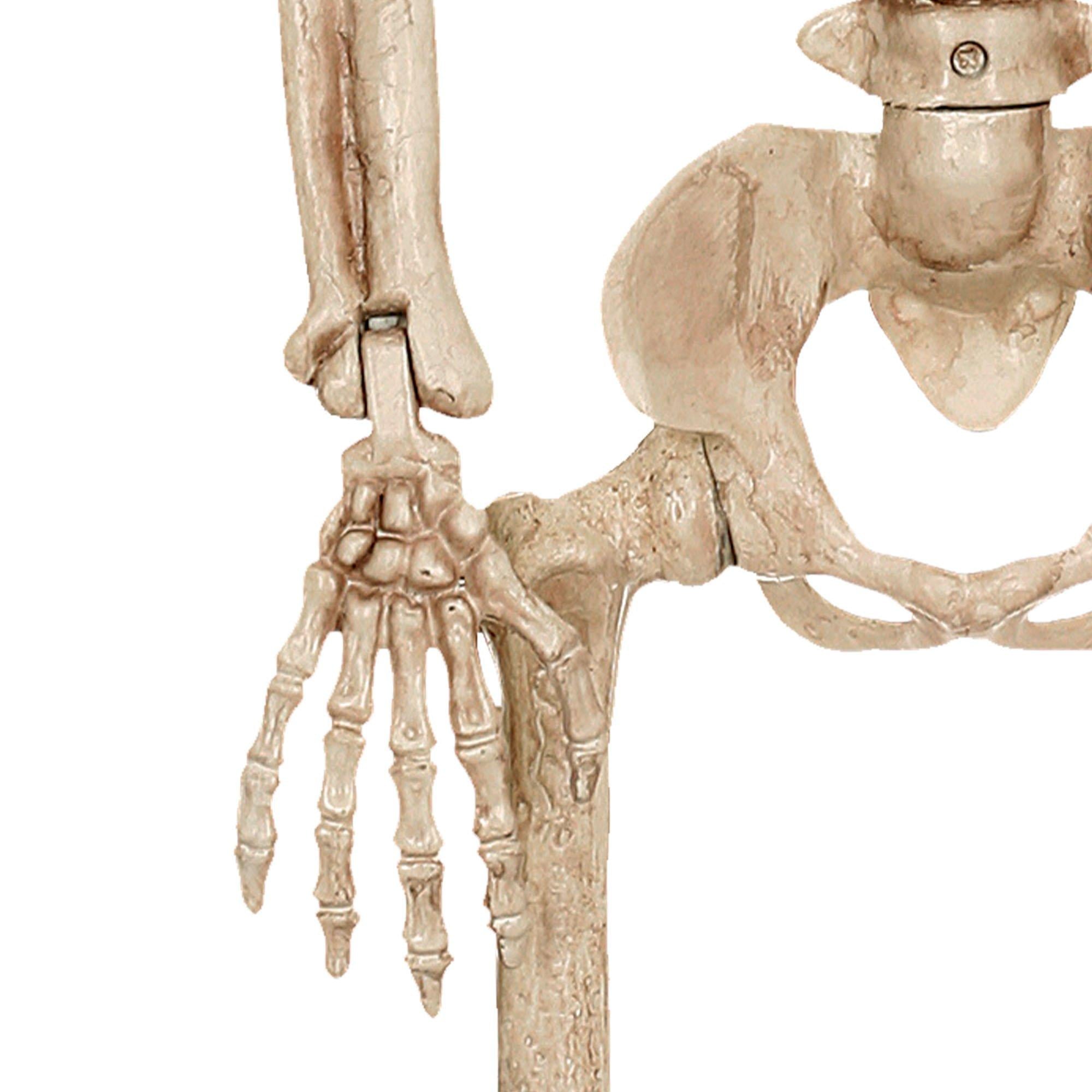 Realistic Hanging Skeleton. 3ft - Halloween Decoration - Image 4