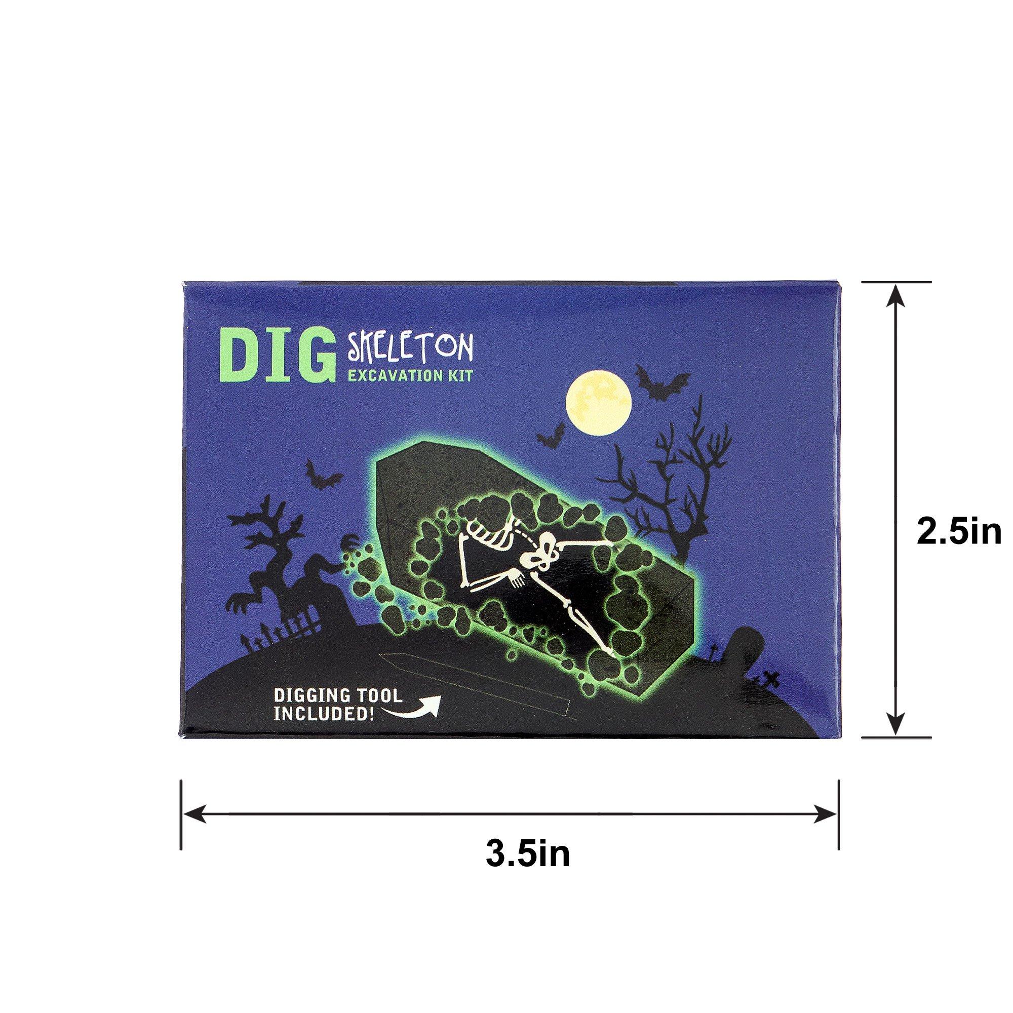 Skeleton in Coffin Excavation Kit - Image 2