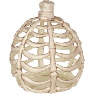 Bone Plastic Pumpkin. Sizes 6in and 11in