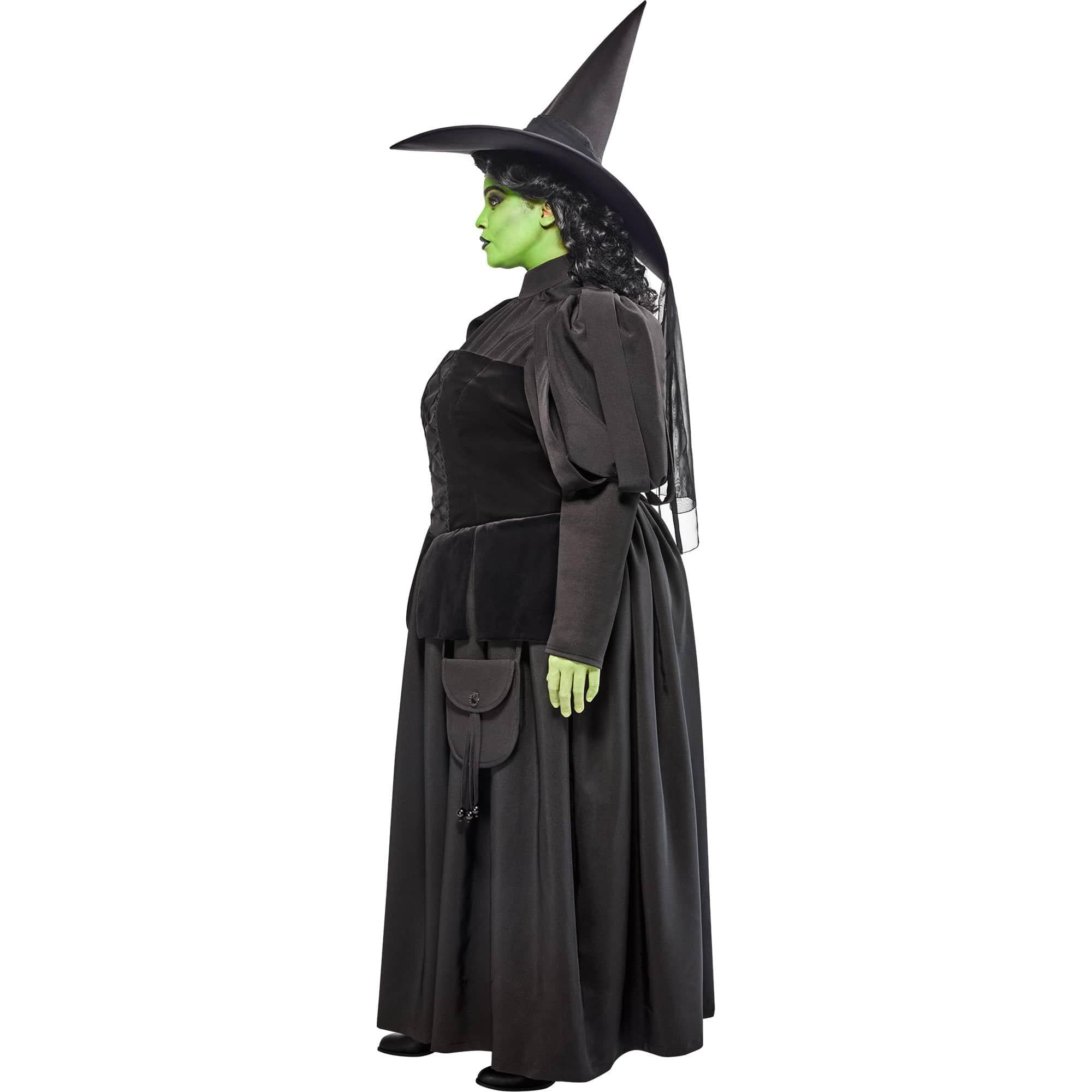 Women's Plus Size The Wizard of Oz Wicked Witch Costume - Image 2