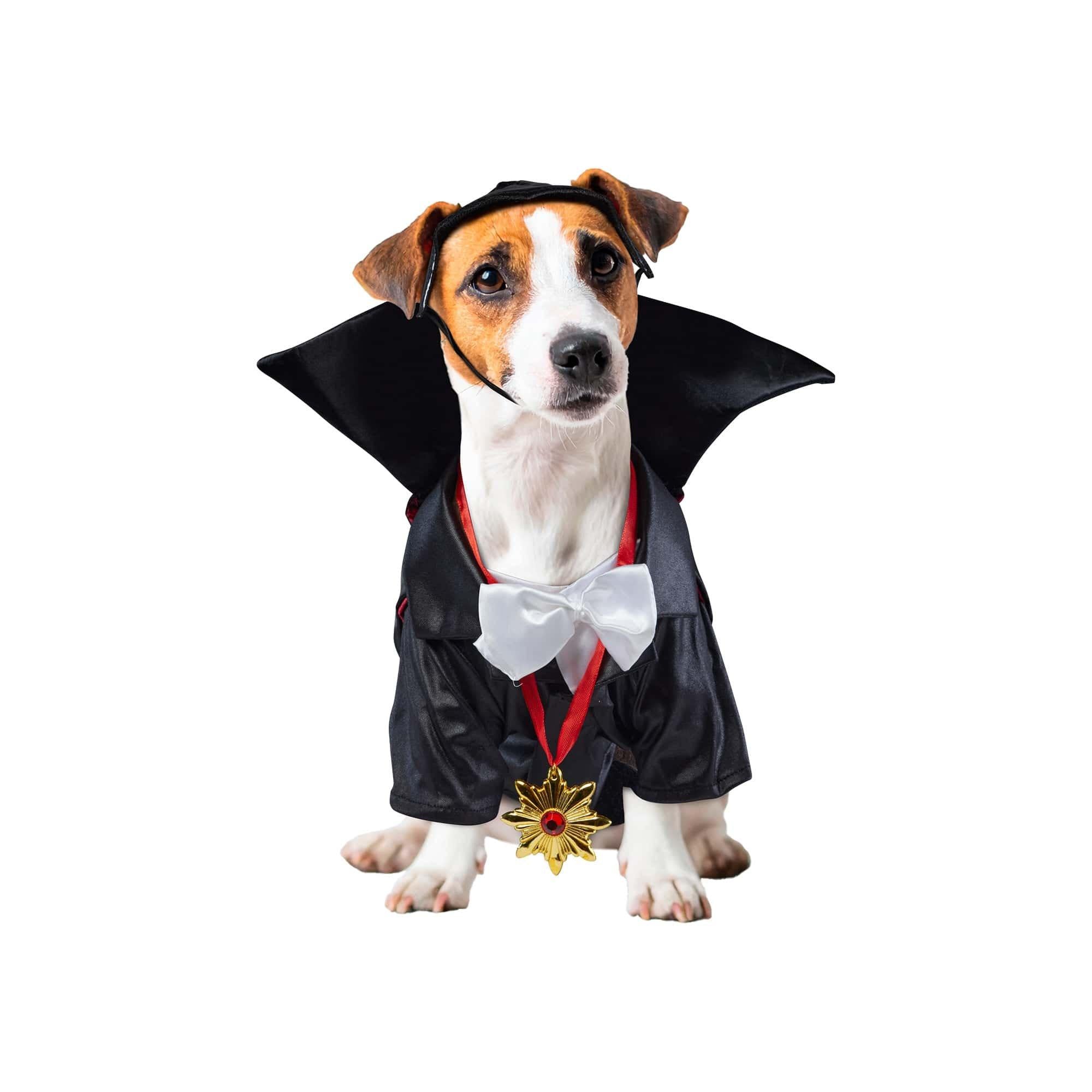 Dracula Pet Costume - Image 6