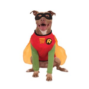 Teen Titans Robin Big Dog Pet Costume