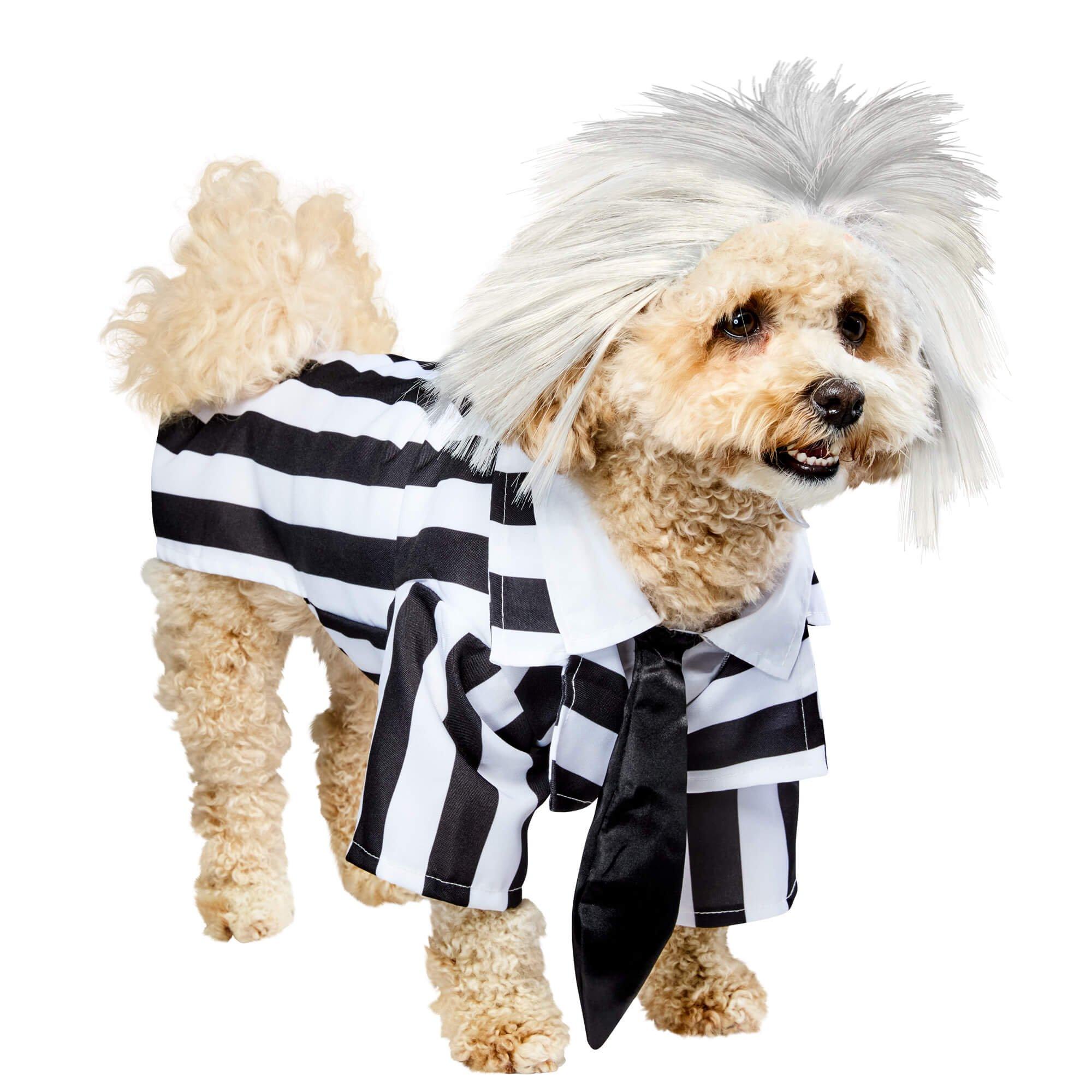 Beetlejuice Dog Costume - Image 4