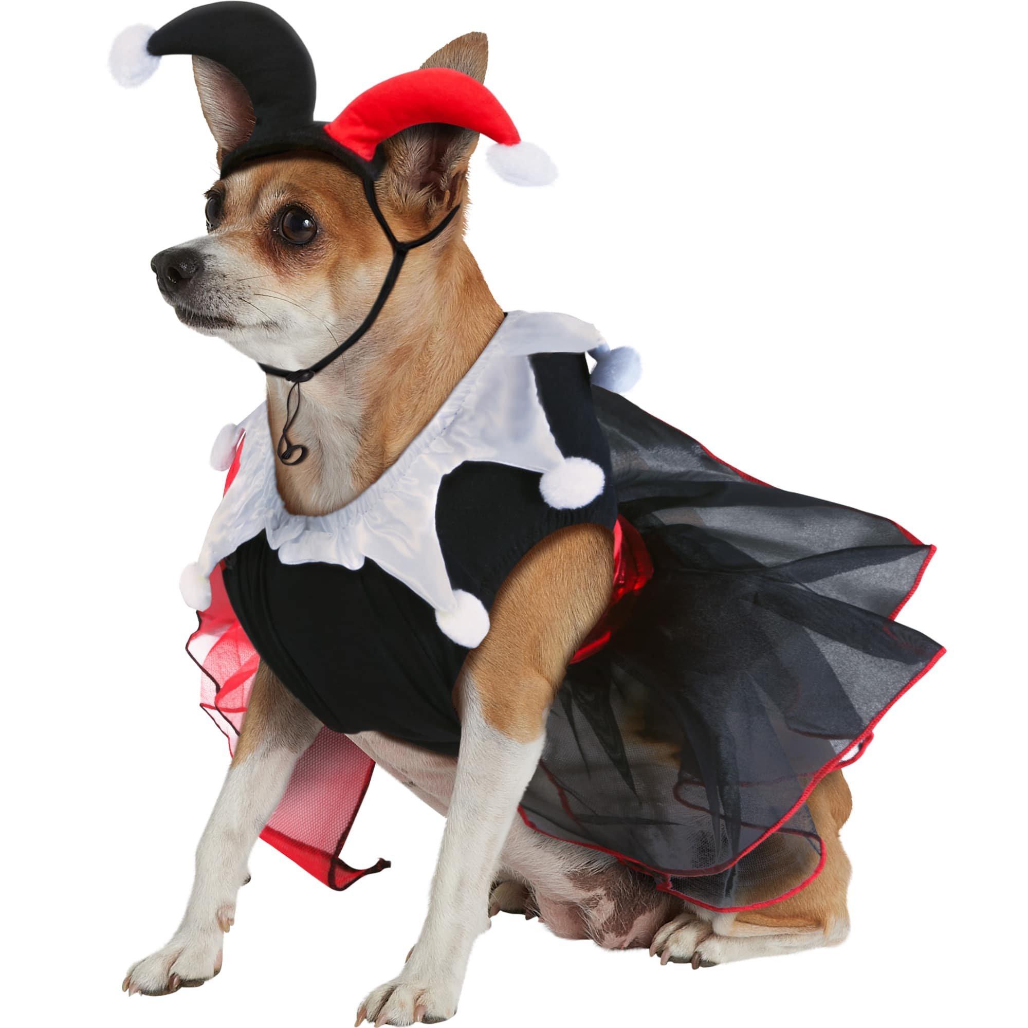 Harley Quinn Dog Costume - Batman - Image 2