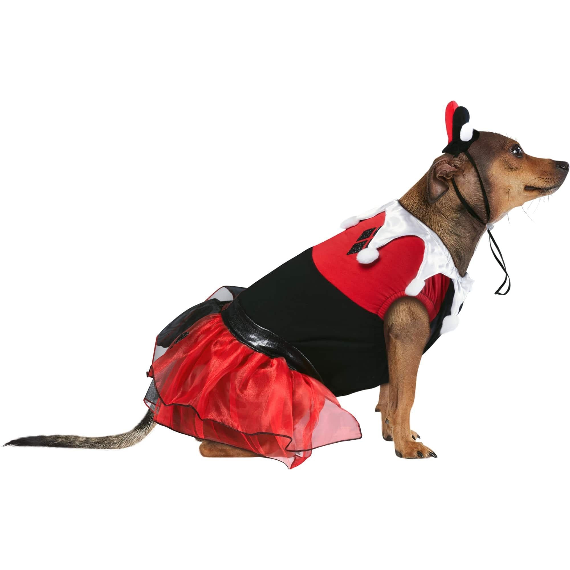 Harley Quinn Dog Costume - Batman - Image 3