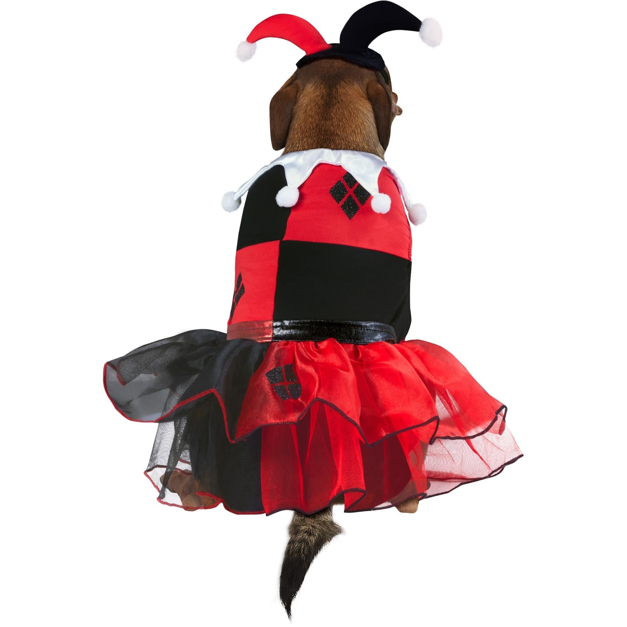 Harley Quinn Dog Costume - Batman - Image 4