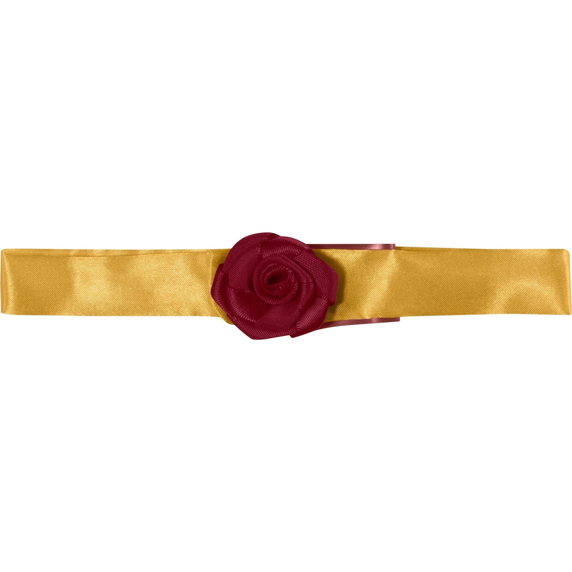 Belle Dog Costume - Beauty and the Beast - Image 6