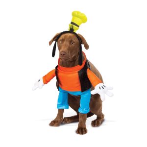 Goofy Dog Costume